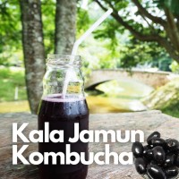 *Kombucha - KALA JAMUN - 350 ml (by Satva Farm)